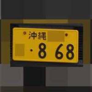 沖縄 868