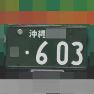 沖縄 603