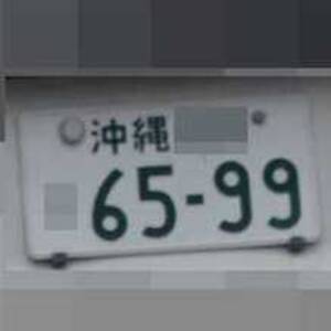 沖縄 6599