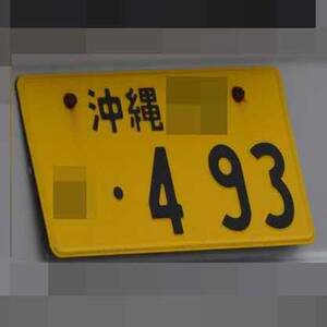 沖縄 493