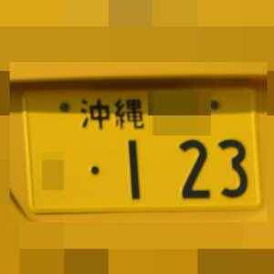 1202101028480004