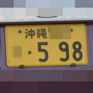 沖縄 598