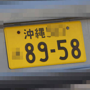 沖縄 8958