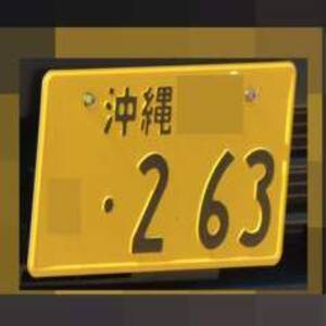 沖縄 263