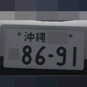 沖縄 8691