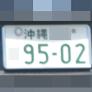 沖縄 9502