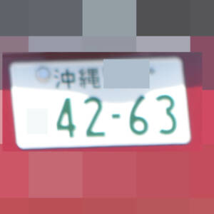 沖縄 4263