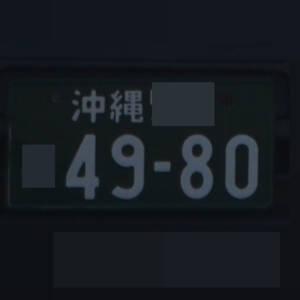 沖縄 4980