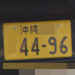 沖縄 4496