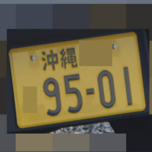 沖縄 9501