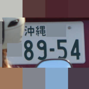 沖縄 8954