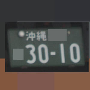 沖縄 3010