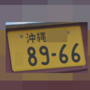 沖縄 8966