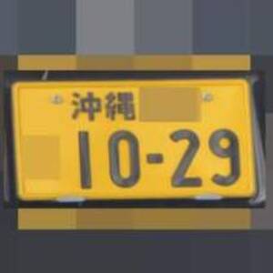 沖縄 1029