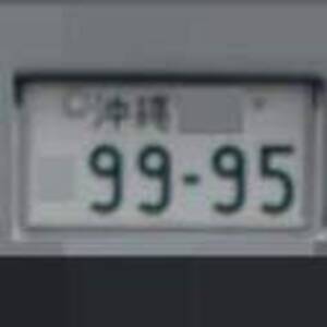 沖縄 9995