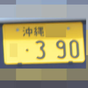 沖縄 390