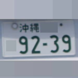 沖縄 9239