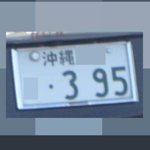 沖縄 395