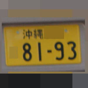 沖縄 8193