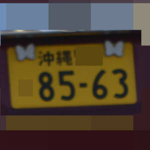 沖縄 8563