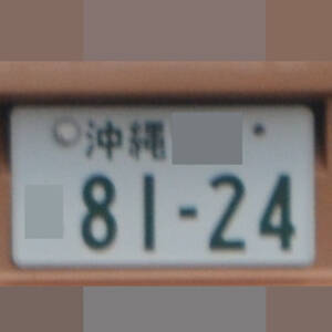 沖縄 8124